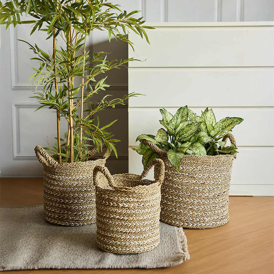 Twisted weave seagrass baskets, 
Woven plant baskets with handles, 
Natural jute planters, White and natural storage baskets, Decorative indoor plant baskets, Handwoven seagrass baskets for indoor plants, 
Two-tone twisted weave baskets with handles, Eco-friendly planter baskets for home décor, Rustic woven storage baskets for living room, 
Boho-style braided baskets for plants and storage.