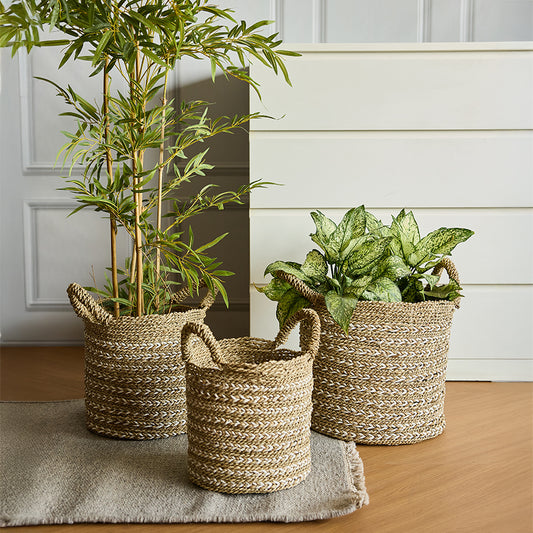 Twisted weave seagrass baskets, 
Woven plant baskets with handles, 
Natural jute planters, White and natural storage baskets, Decorative indoor plant baskets, Handwoven seagrass baskets for indoor plants, 
Two-tone twisted weave baskets with handles, Eco-friendly planter baskets for home décor, Rustic woven storage baskets for living room, 
Boho-style braided baskets for plants and storage. 

