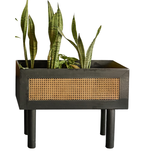Rattan planter box, Raised indoor planter, Black wooden plant stand, Woven cane planter, Decorative indoor planter, Elevated planter with legs, Modern rattan plant stand, Handcrafted cane planter, Wooden planter for indoor plants, Boho chic home décor planter, Handmade black planter box with rattan weave, Indoor plant stand with cane panel detailing, 
Stylish elevated wooden planter for houseplants .